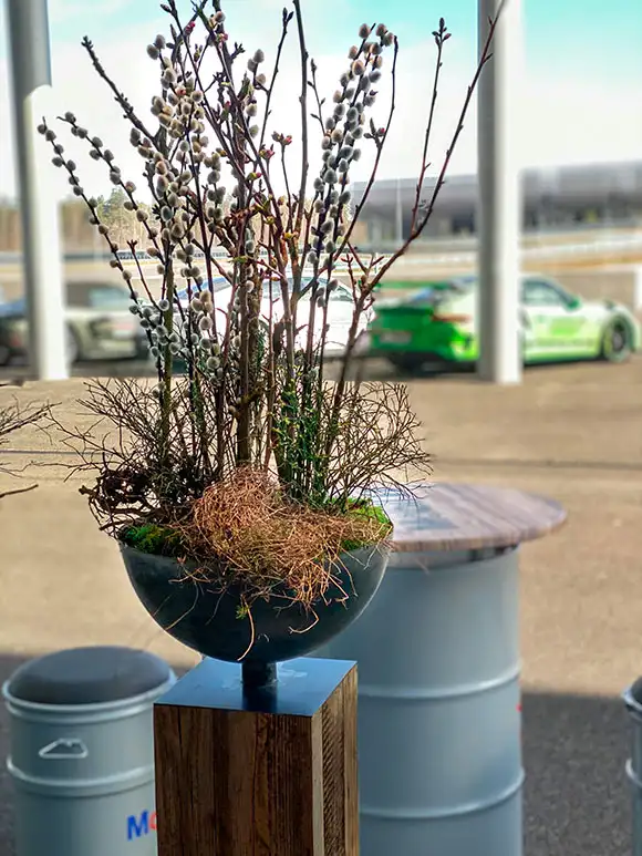 Portraitaufnahme, im Vordergrund eine frühlingshafte Blume, im Hintergrund verschiedene Porsche Modelle