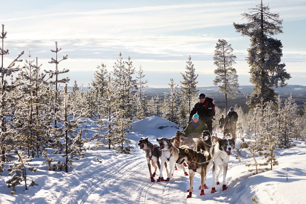 Eine Schlittenhundtour durch den Schnee mitten in Schwedisch Lappland